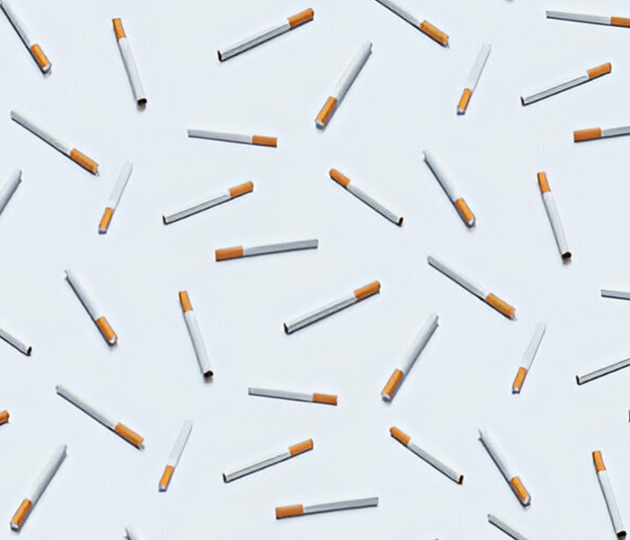 Foodking - Fast Food Restaurant WordPress Theme