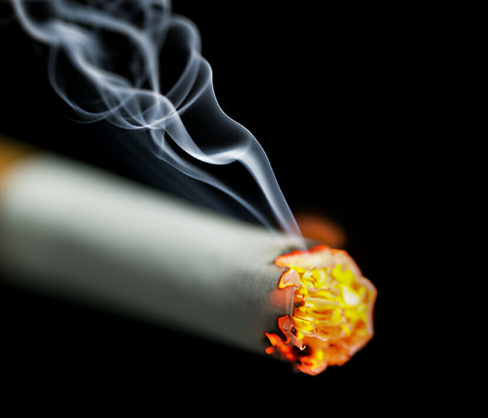 Foodking - Fast Food Restaurant WordPress Theme