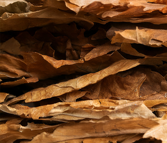 Foodking - Fast Food Restaurant WordPress Theme